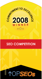 2008 SEO Competition Winner