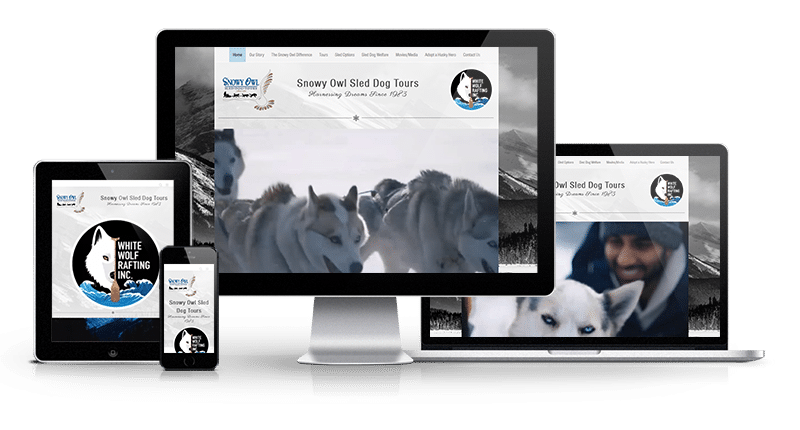 Snowy Owl Tours Website displayed on cell phone, tablet, desktop and tablet