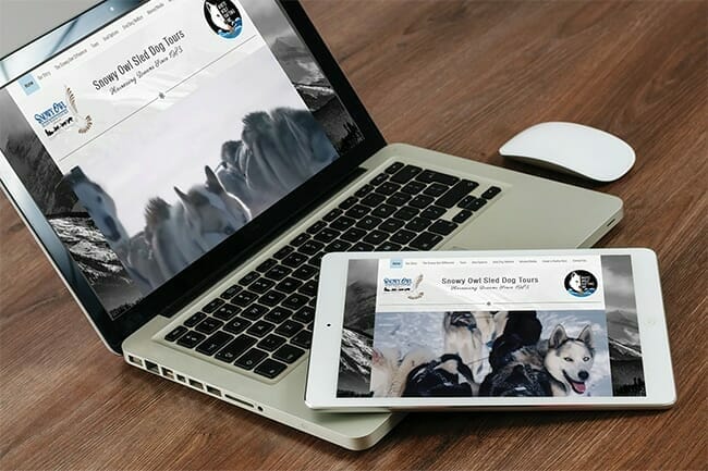 Snowy Owl Tours Website displayed on desktop and tablet