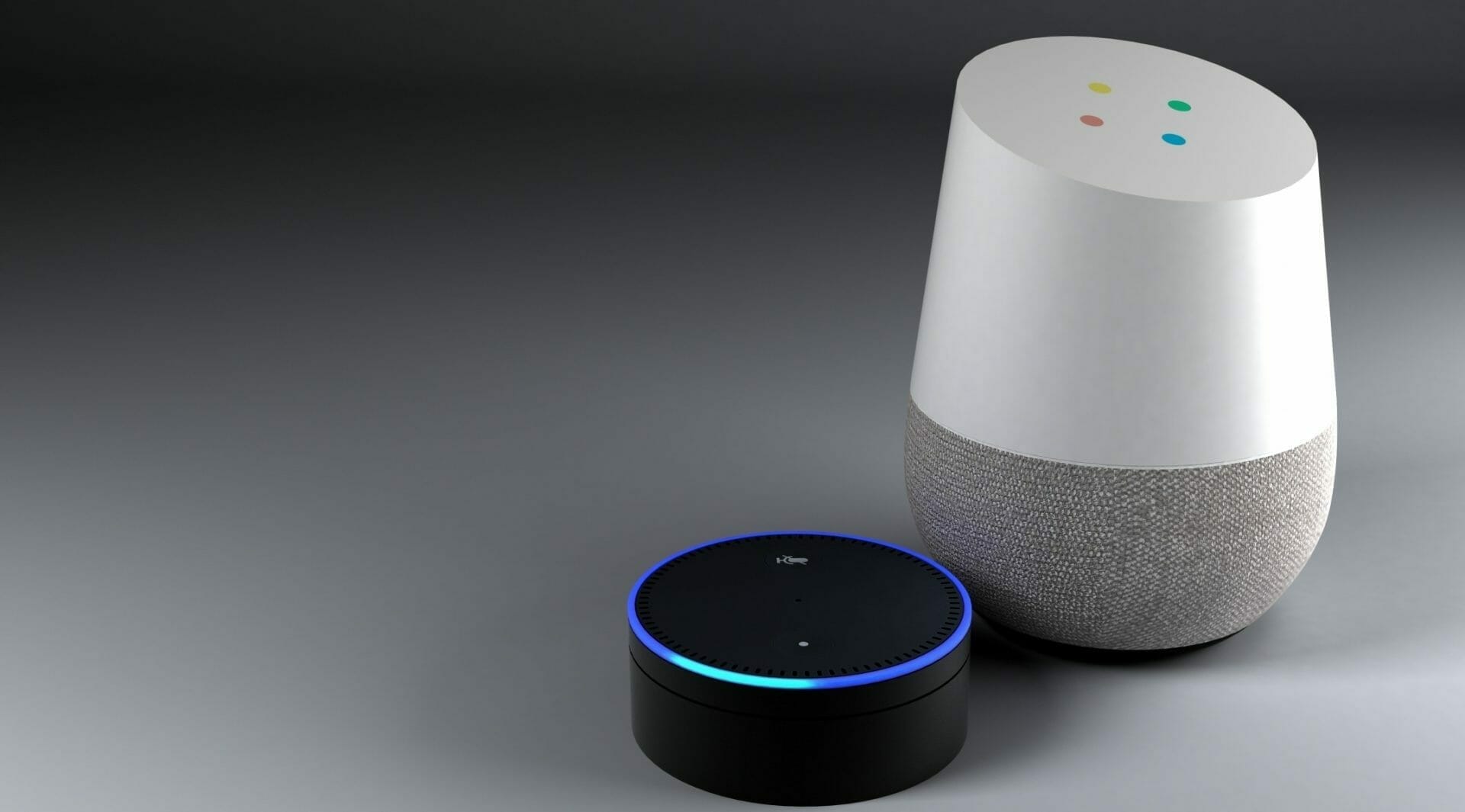 google home and alexa devices