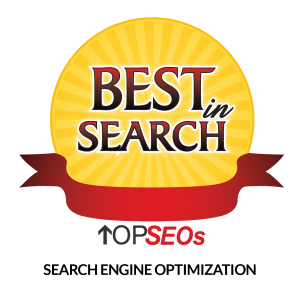 Best in Search Top SEOs badge
