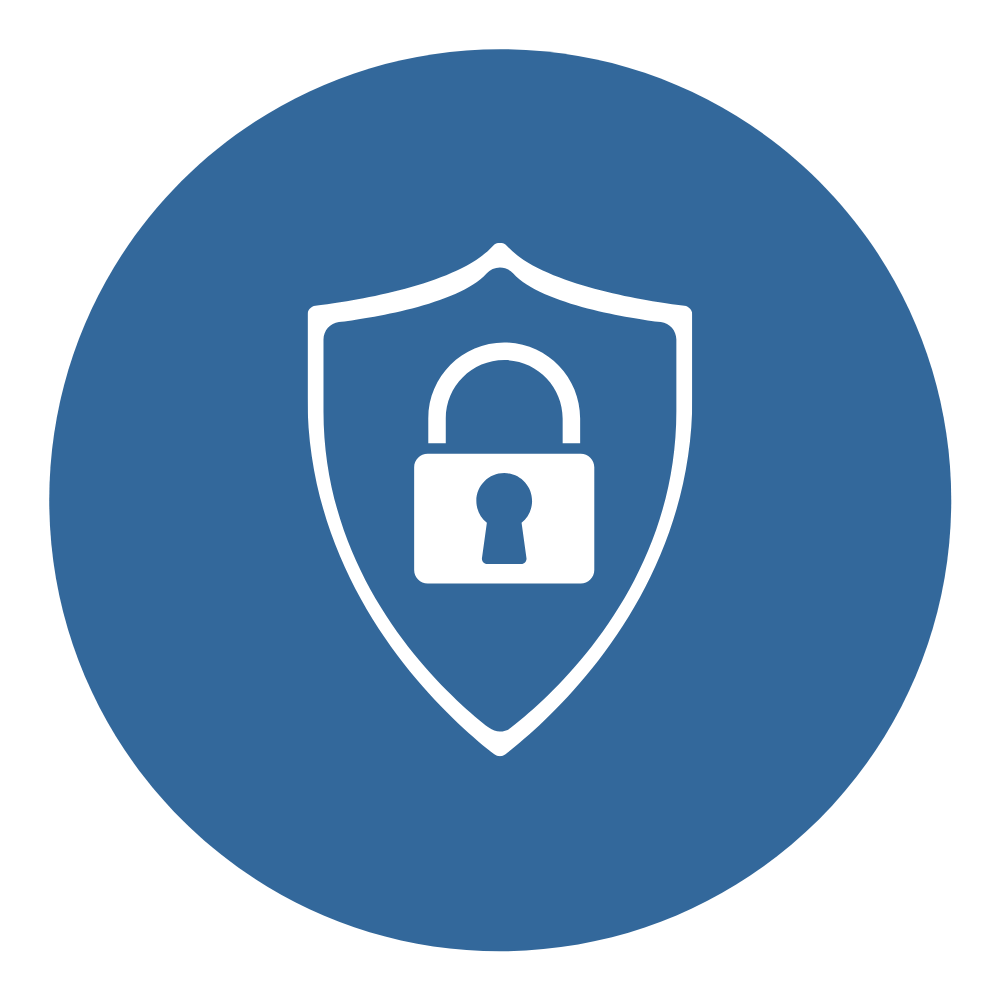 page experience https security icon