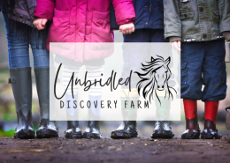 Unbridled Discovery Farm Web Design Portfolio