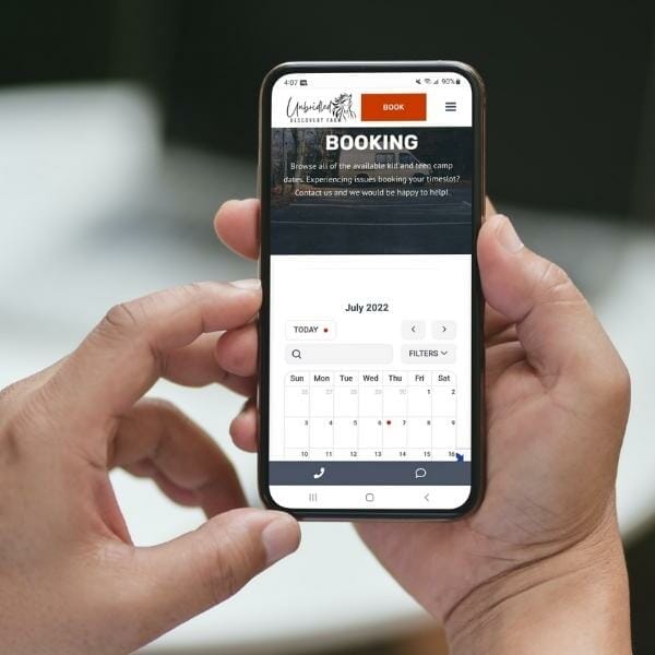 mobile phone looking at unbridled web design