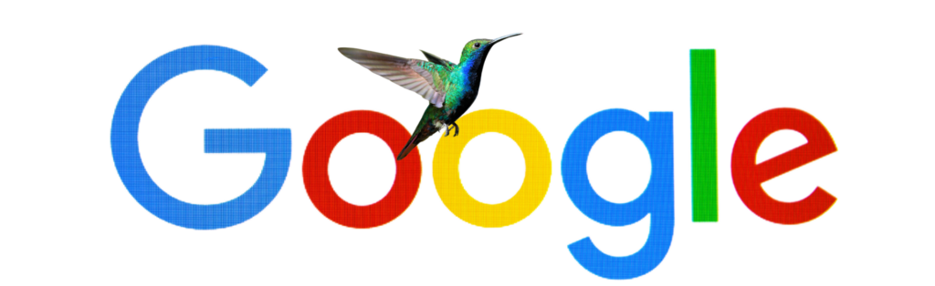 Google logo over a photo of a colorful hummingbird with a blurred background.