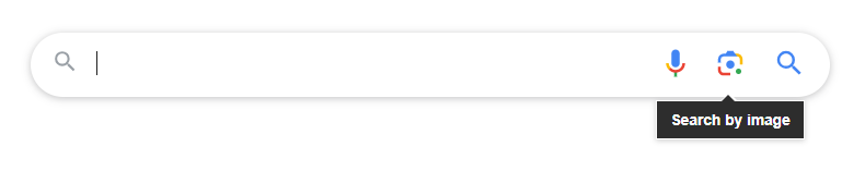google image search bar with search by image highlighted