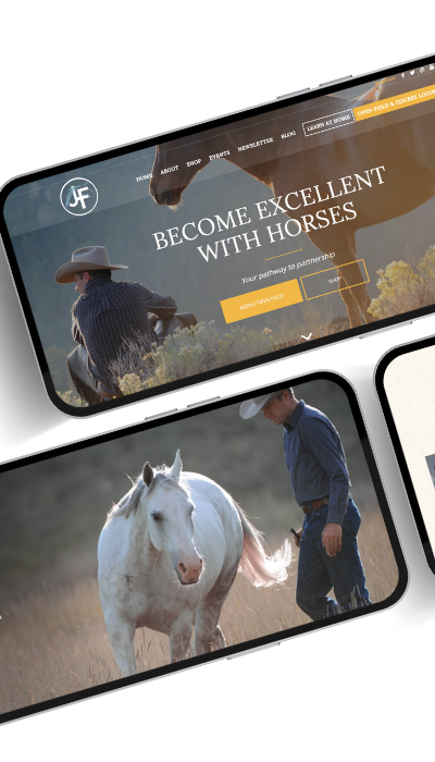 custom website designs that are user friendly