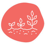 Illustration of three white plant sprouts of increasing size on a pink abstract background. The plants are depicted in a simple line style, representing growth and progression.