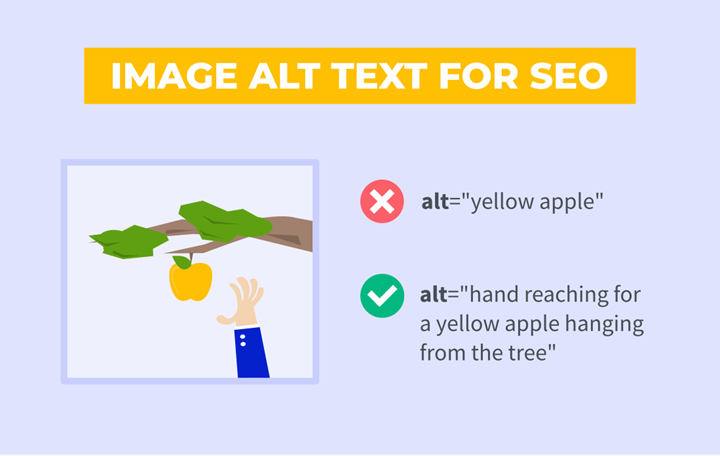 Image Alt Text example from Mangools