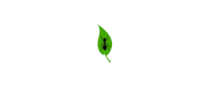 Logo featuring a stylized ant silhouette on a green leaf. Text above reads "Antiband." The ant is centrally positioned on the leaf, which has a prominent border and veins, emphasizing a natural theme. The text is in black font.